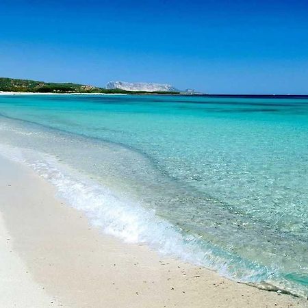 Villa Indipendente Al Mare Budoni Tanaunella Bagian luar foto