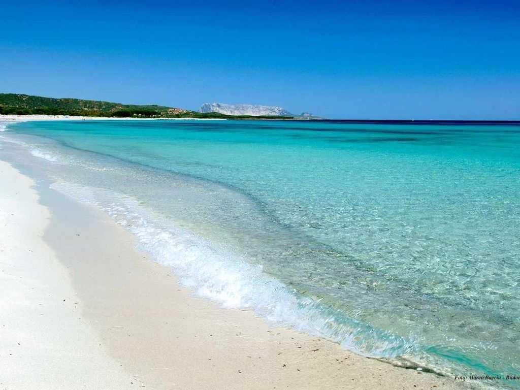 Villa Indipendente Al Mare Budoni Tanaunella Bagian luar foto