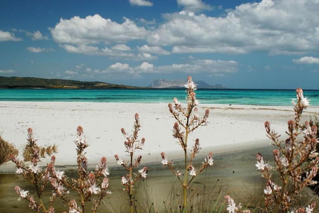 Villa Indipendente Al Mare Budoni Tanaunella Bagian luar foto