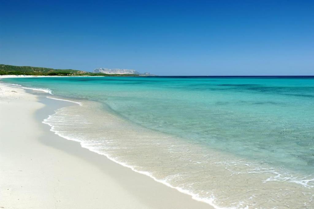 Villa Indipendente Al Mare Budoni Tanaunella Bagian luar foto