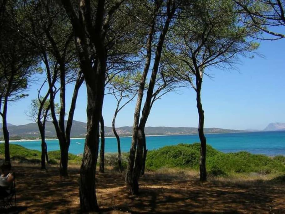 Villa Indipendente Al Mare Budoni Tanaunella Bagian luar foto